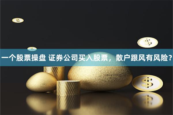 一個(gè)股票操盤 證券公司買入股票，散戶跟風(fēng)有風(fēng)險(xiǎn)？